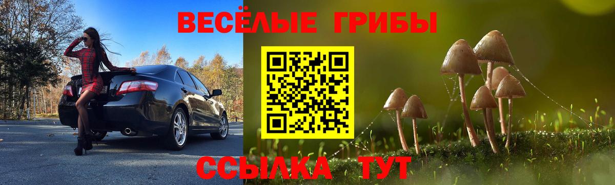 Галлюциногенные грибы Psilocybe  Вход с VPN  Янаул 